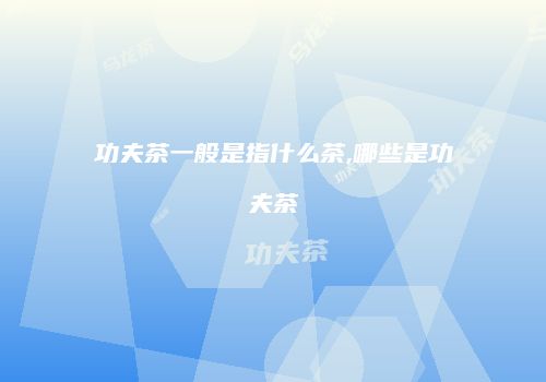 功夫茶一般是指什么茶,哪些是功夫茶