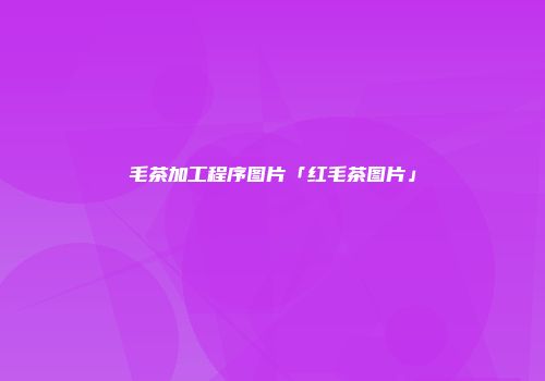 毛茶加工程序图片「红毛茶图片」