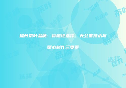 提升茶叶品质：种植地选择、无公害技术与精心制作三要素