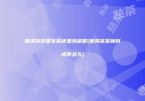 普洱茶饼是生茶还是熟茶呢(普洱茶采摘到成饼多久)