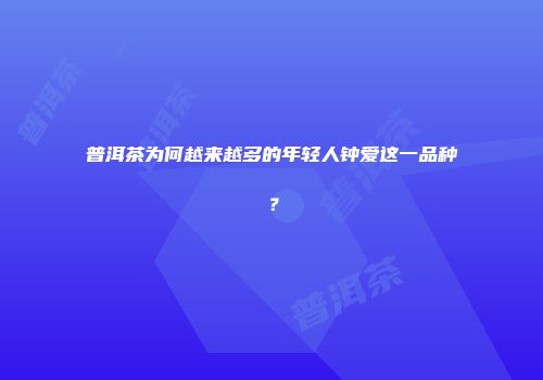普洱茶为何越来越多的年轻人钟爱这一品种？