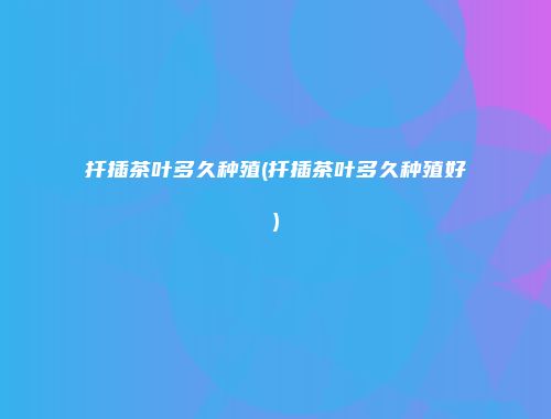 扦插茶叶多久种殖(扦插茶叶多久种殖好)