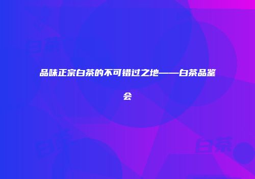 品味正宗白茶的不可错过之地——白茶品鉴会
