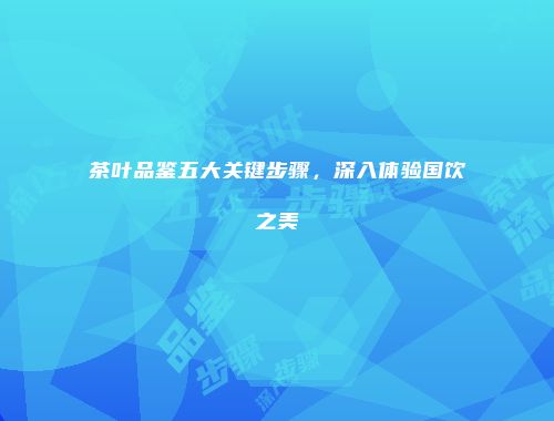 茶叶品鉴五大关键步骤，深入体验国饮之美