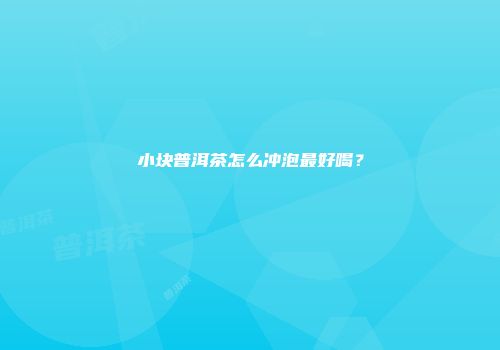 小块普洱茶怎么冲泡最好喝？