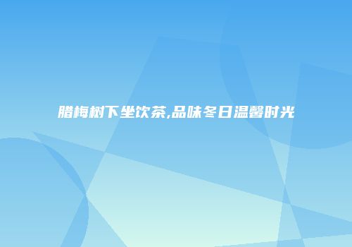 腊梅树下坐饮茶,品味冬日温馨时光