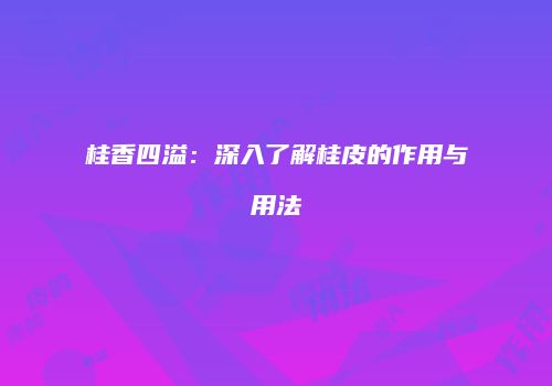 桂香四溢：深入了解桂皮的作用与用法