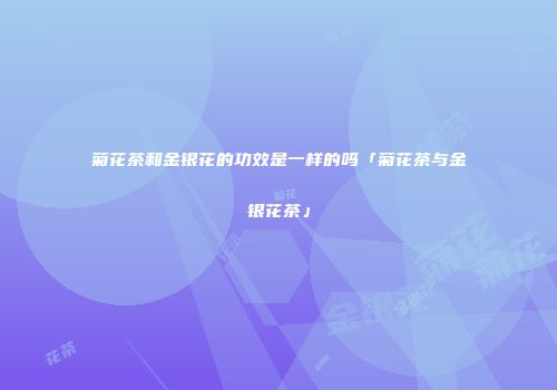 菊花茶和金银花的功效是一样的吗「菊花茶与金银花茶」