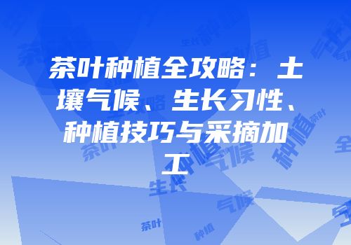 茶叶种植全攻略：土壤气候、生长习性、种植技巧与采摘加工