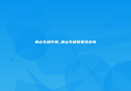 黄山毛峰作用_黄山毛峰需要洗茶吗