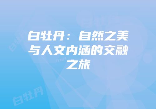 白牡丹：自然之美与人文内涵的交融之旅