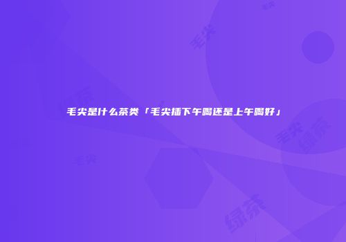毛尖是什么茶类「毛尖插下午喝还是上午喝好」
