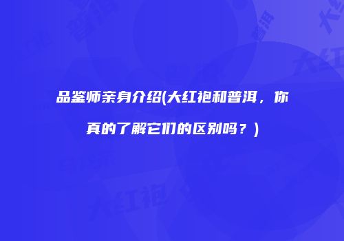 品鉴师亲身介绍(大红袍和普洱，你真的了解它们的区别吗？)