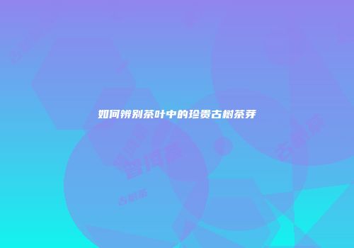 如何辨别茶叶中的珍贵古树茶芽