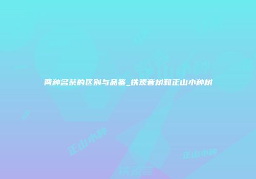 两种名茶的区别与品鉴_铁观音树和正山小种树