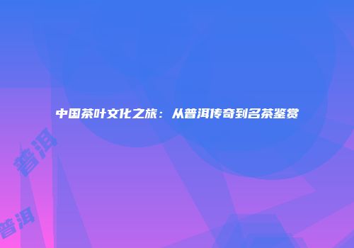 中国茶叶文化之旅：从普洱传奇到名茶鉴赏