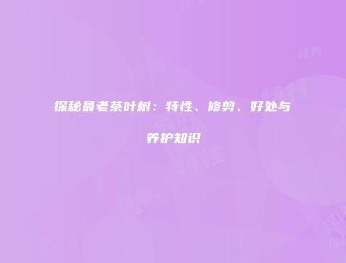 探秘最老茶叶树：特性、修剪、好处与养护知识