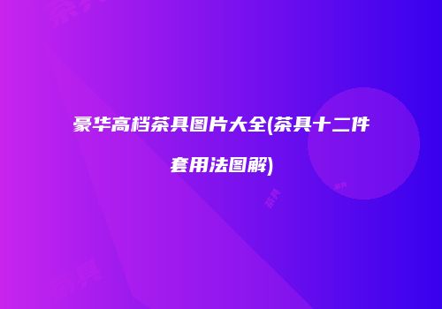 豪华高档茶具图片大全(茶具十二件套用法图解)