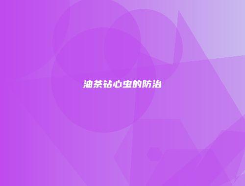 油茶钻心虫的防治