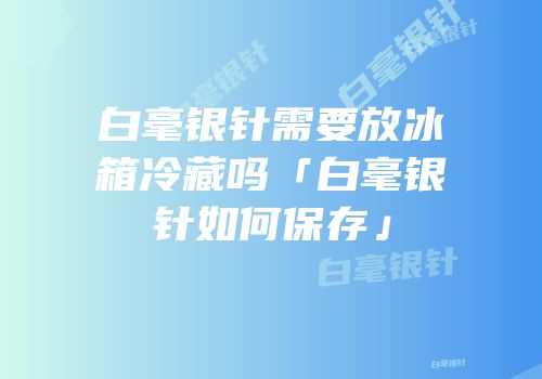 白毫银针需要放冰箱冷藏吗「白毫银针如何保存」