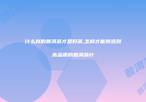 什么样的普洱茶才是好茶,怎样才能挑选到高品质的普洱茶叶