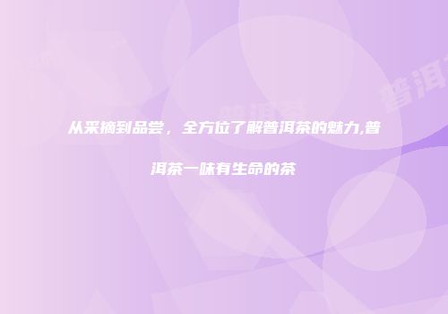 从采摘到品尝，全方位了解普洱茶的魅力,普洱茶一味有生命的茶