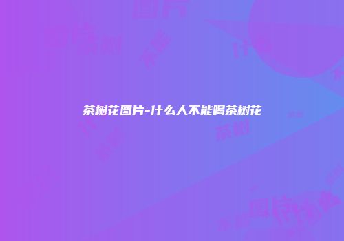 茶树花图片-什么人不能喝茶树花