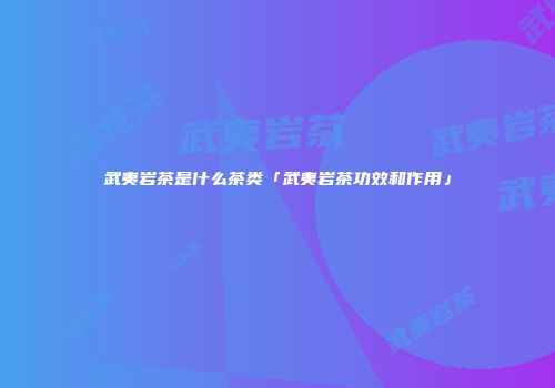 武夷岩茶是什么茶类「武夷岩茶功效和作用」