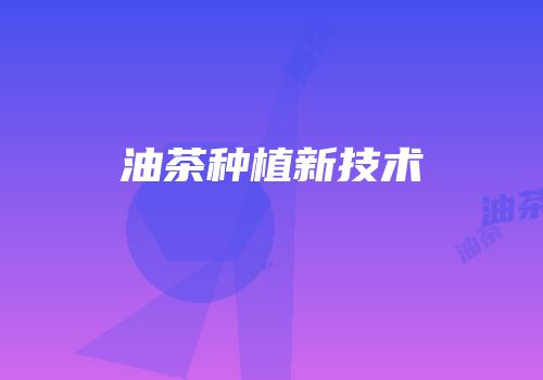 油茶种植新技术