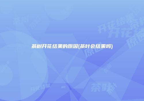 茶树开花结果的原因(茶叶会结果吗)