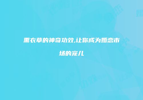 熏衣草的神奇功效,让你成为婚恋市场的宠儿