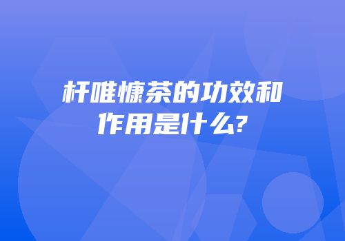 杆唯慷茶的功效和作用是什么?