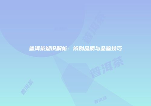 普洱茶知识解析：辨别品质与品鉴技巧