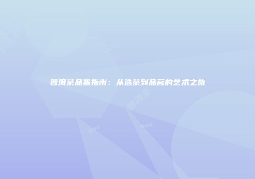 普洱茶品鉴指南：从选茶到品茗的艺术之旅