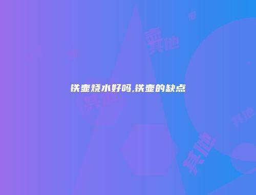 铁壶烧水好吗,铁壶的缺点