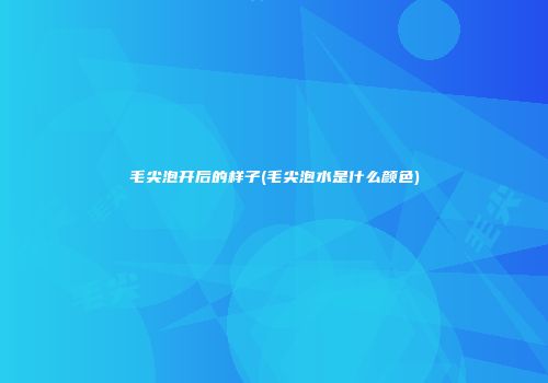 毛尖泡开后的样子(毛尖泡水是什么颜色)