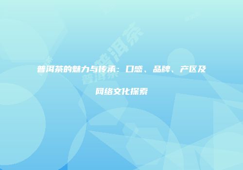 普洱茶的魅力与传承：口感、品牌、产区及网络文化探索