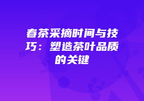 春茶采摘时间与技巧：塑造茶叶品质的关键