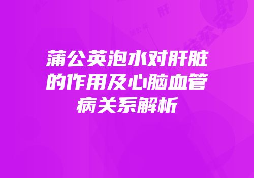 蒲公英泡水对肝脏的作用及心脑血管病关系解析