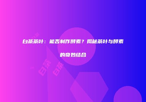 白茶茶叶：能否制作酵素？揭秘茶叶与酵素的奇妙结合