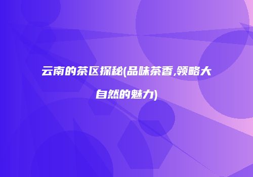 云南的茶区探秘(品味茶香,领略大自然的魅力)