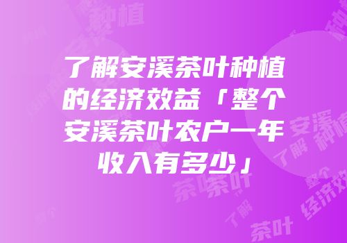 了解安溪茶叶种植的经济效益「整个安溪茶叶农户一年收入有多少」
