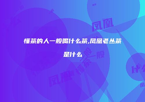 懂茶的人一般喝什么茶,凤凰老丛茶是什么