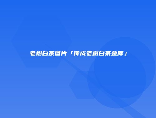 老树白茶图片「传成老树白茶金库」
