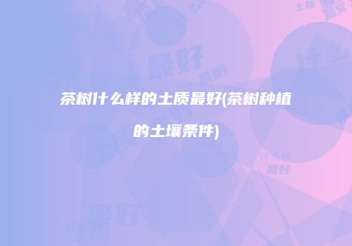 茶树什么样的土质最好(茶树种植的土壤条件)