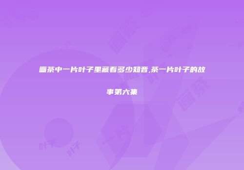 画茶中一片叶子里藏着多少知音,茶一片叶子的故事第六集