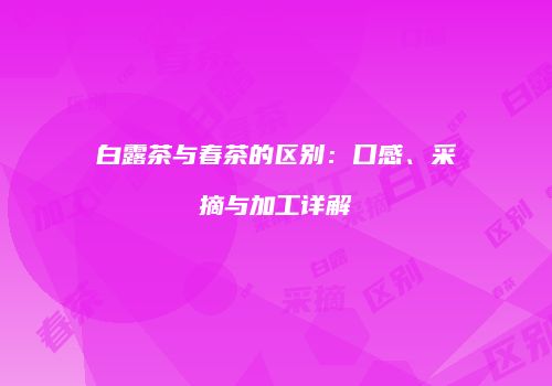 白露茶与春茶的区别：口感、采摘与加工详解
