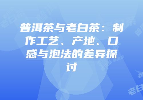 普洱茶与老白茶：制作工艺、产地、口感与泡法的差异探讨