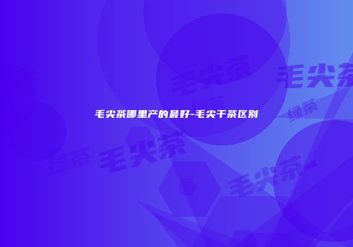 毛尖茶哪里产的最好-毛尖干茶区别