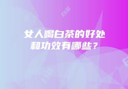 女人喝白茶的好处和功效有哪些？